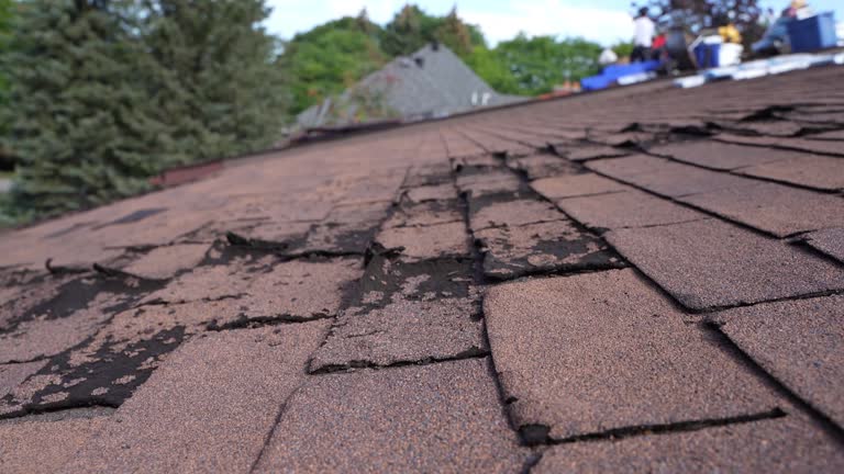  Tidmore Bend, AL Roofing Service Pros