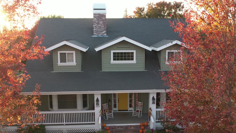 Best Skylight Installation and Repair  in Tidmore Bend, AL