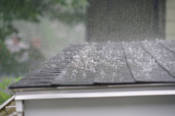 Best Asphalt Shingle Roofing  in Tidmore Bend, AL