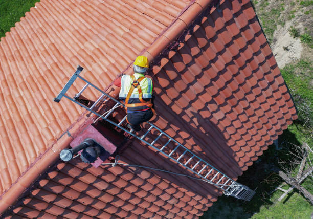 Best Emergency Roof Repair Services  in Tidmore Bend, AL
