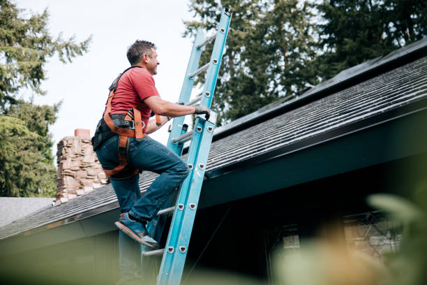 Best Roof Coating and Sealing  in Tidmore Bend, AL