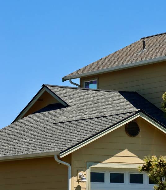 Best Roof Moss and Algae Removal  in Tidmore Bend, AL